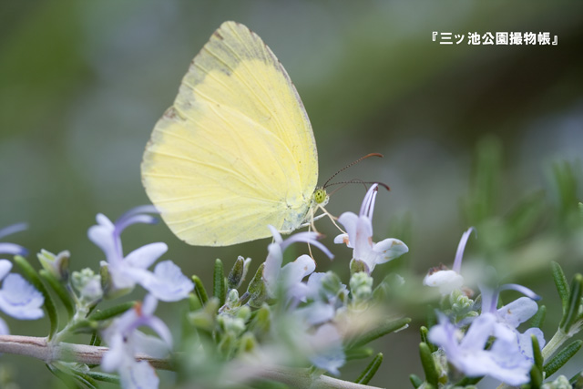 0048-3.jpg