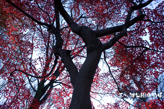 0106-2_.jpg