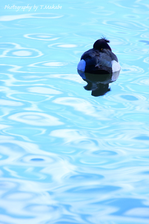 7848EBFD-AB64-45DD-889E-8FDBFEAD9094.jpeg